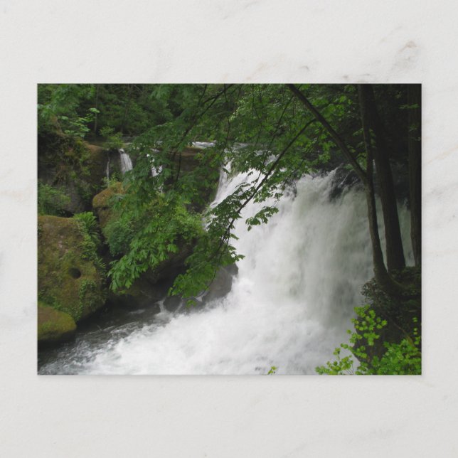 Roaring Waterfall Postcard (Front)