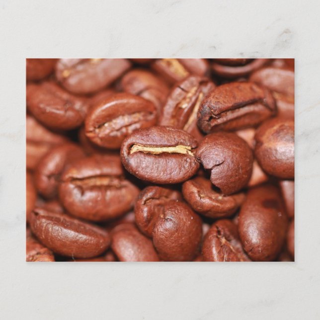 Roasted Coffee Beans Postcard (Front)