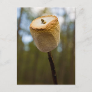 Roasting Marshmallows Postcard