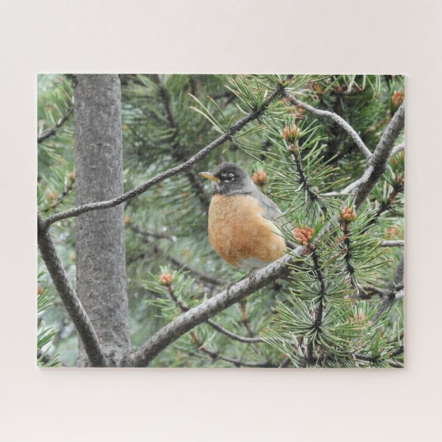 Robbin dans les arbres Jigsaw Puzzle (Horizontal)