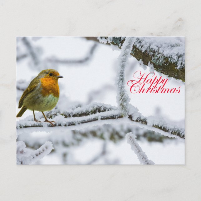 Robbin Redbreast Postcard (Front)