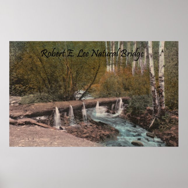 Robert E. Lee Natural Bridge Poster (Front)