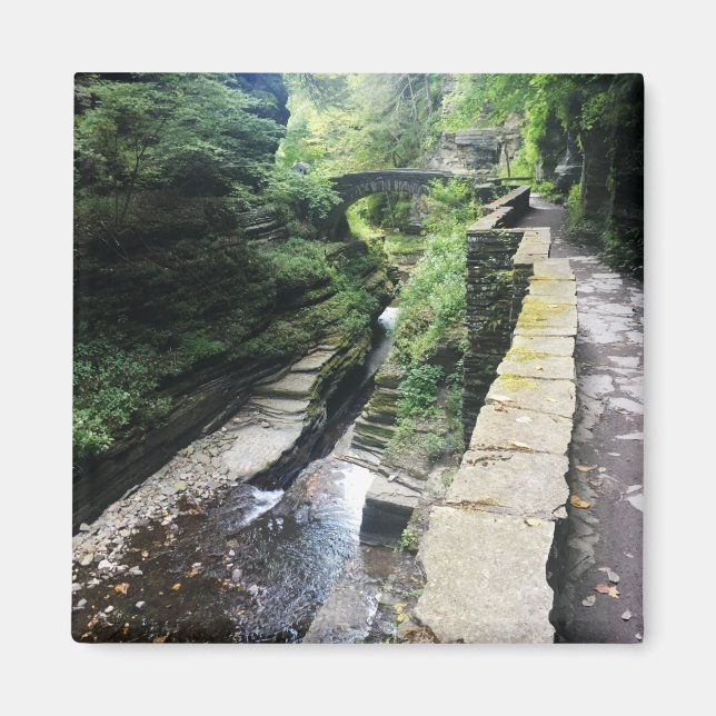 robert h. treman state park bridge magnet (Front)