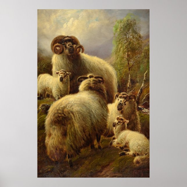 Robert Watson, Highland Sheep, 1899 Poster (Front)