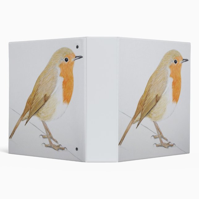 Robin 2011 binder (Background)