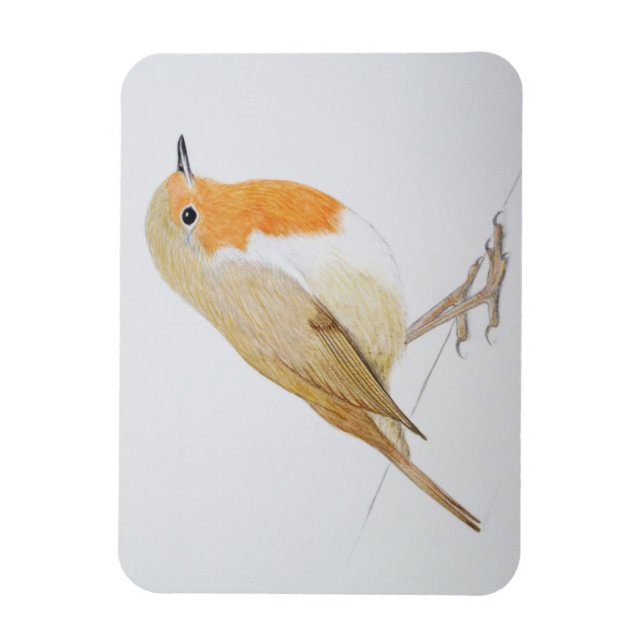 Robin 2011 magnet (Vertical)