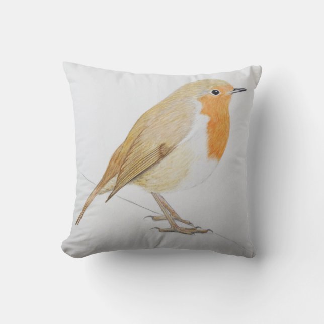 Robin 2011 throw pillow (Front)