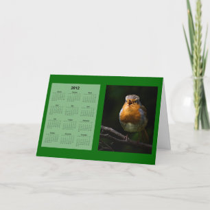 Robin 2012 Calendar Holiday Card