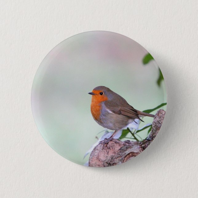 Robin 2 Inch Round Button (Front)