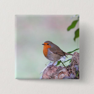 Robin 2 Inch Square Button