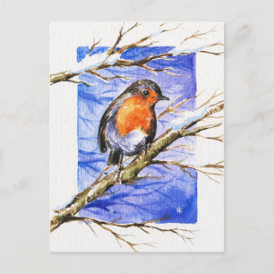 Robin 3 postcard