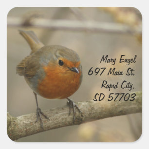 robin address label