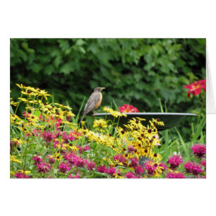 Robin and Flowers