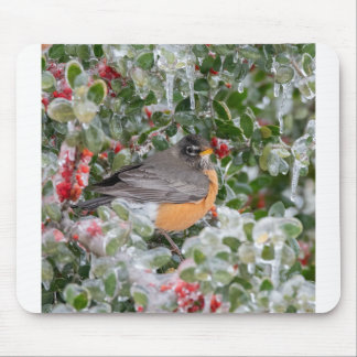 Robin at Christmas Mouse Pad