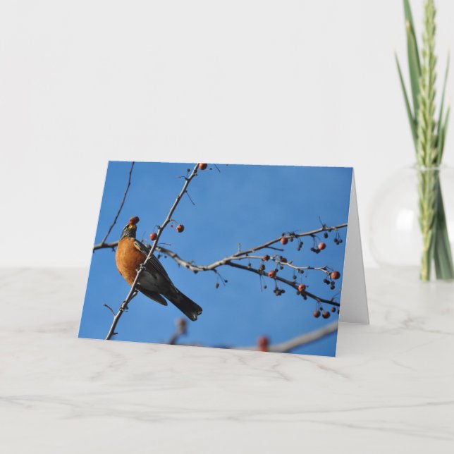 Robin avec la baie dans le bec - carte de voeux (Devant)