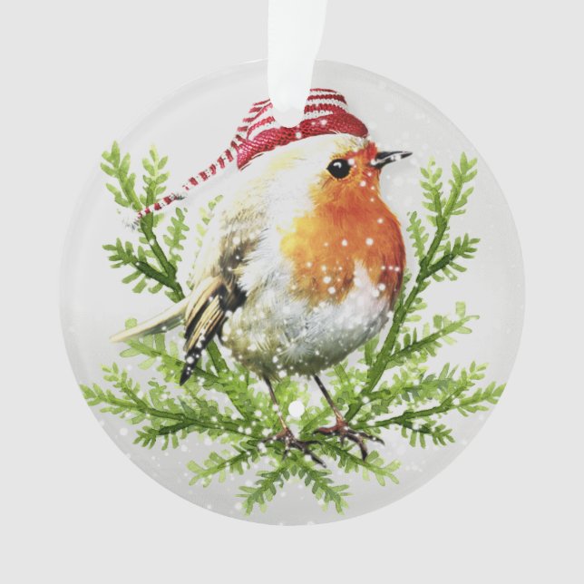 Robin avec Santa Hat et Neige (devant)