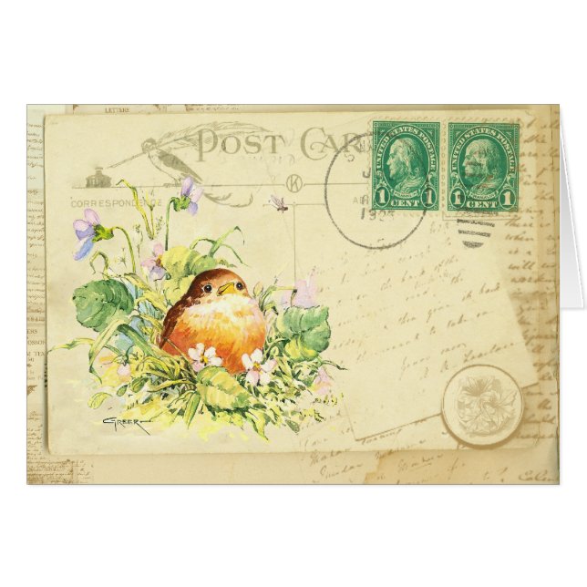 Robin bébé avec Violettes Carte postale (Devant horizontal)
