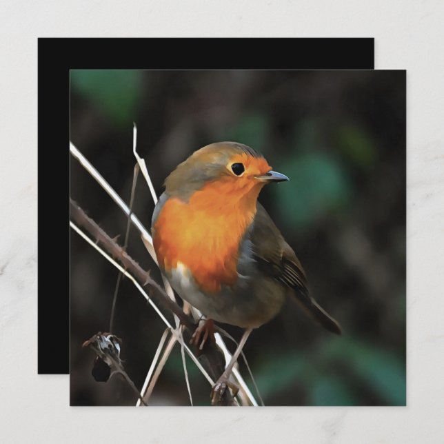 Robin Being Bright On A Dull Day Acrylic Art Invitation (Front/Back)