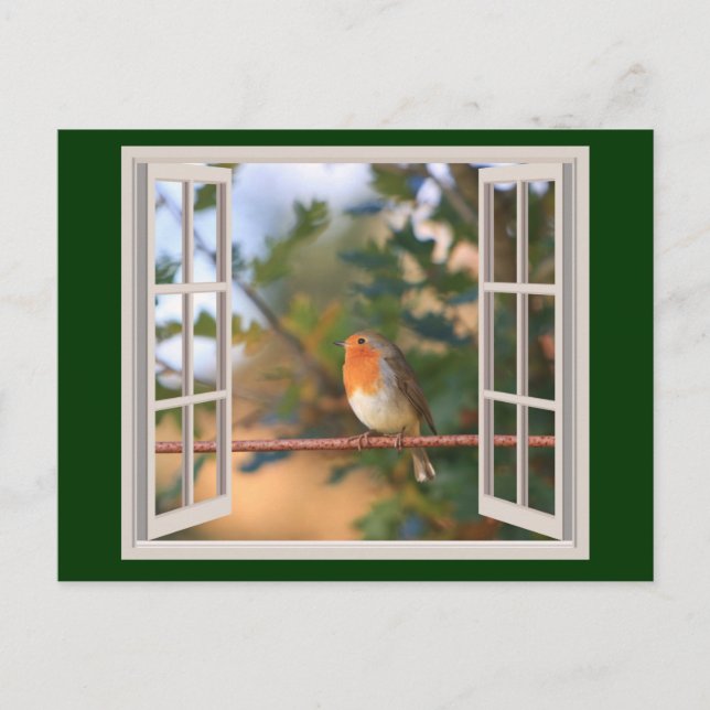 Robin Bird at Window Holiday Postcard (Front)