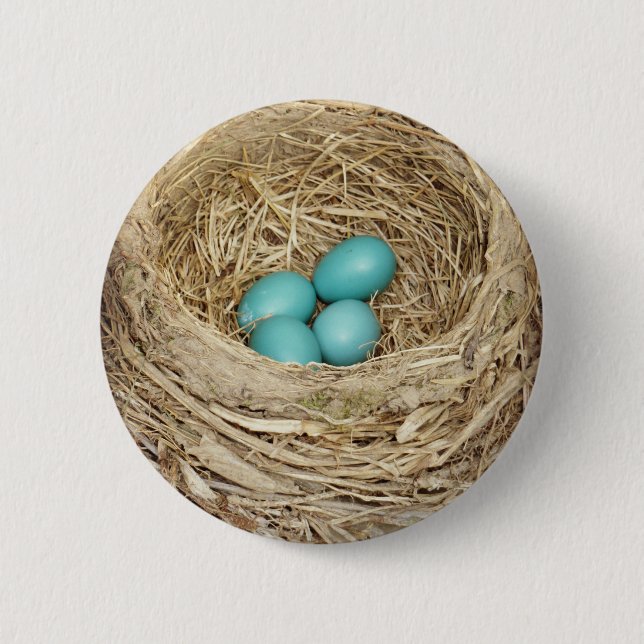 Robin Bird Egg Nest 2 Inch Round Button (Front)
