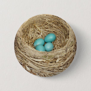 Robin Bird Egg Nest 2 Inch Round Button