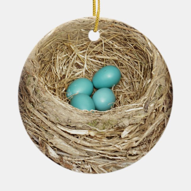 Robin Bird Egg Nest Ceramic Ornament (Front)