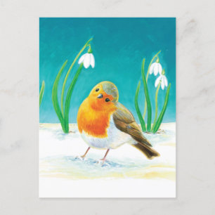 Robin Bird - Erithacus rubecula Holiday Postcard