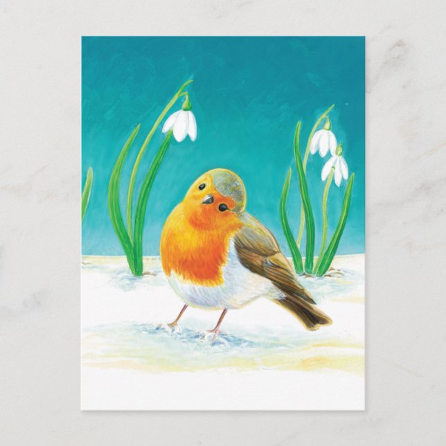 Robin Bird - Erithacus rubecula Holiday Postcard (Front)