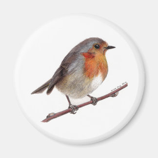 Robin Bird (Erithacus Rubecula) Magnet
