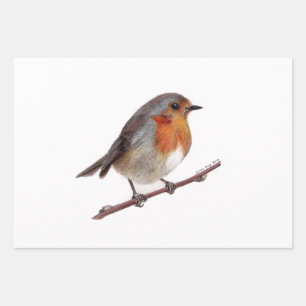 Robin Bird (Erithacus Rubecula) Wrapping Paper