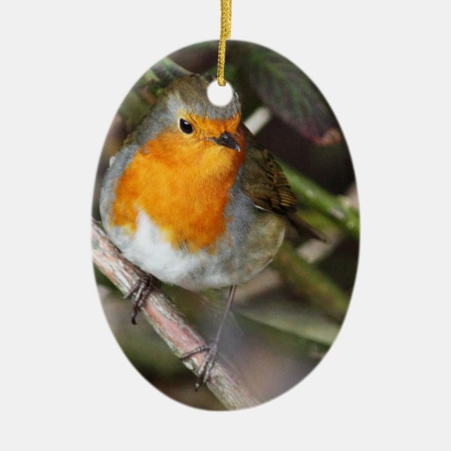 Robin Bird In Tree Ceramic Ornament (Front)