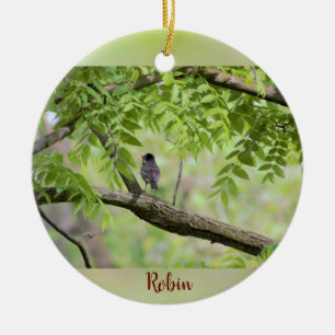 Robin Bird in Tree Ceramic Ornament