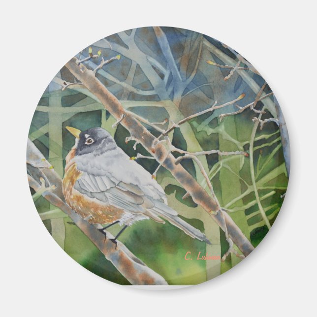Robin bird in twigs on a tree magnet (Front)