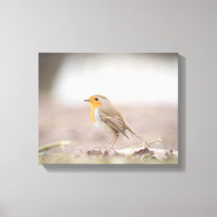 Robin Bird Nature Photo Canvas Print