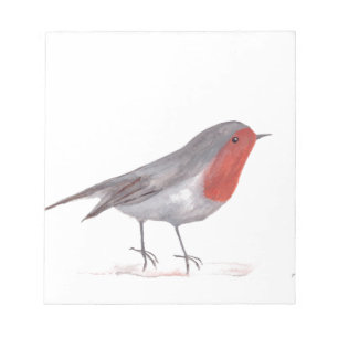 Robin bird notepad