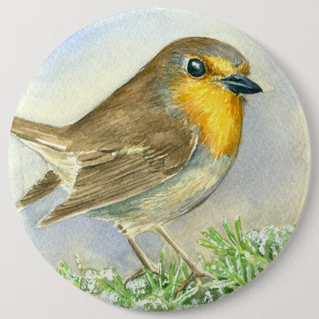 Robin bird on a frosted juniper branch 6 inch round button (Front)