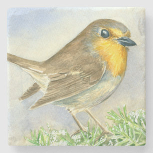 Robin bird on a frosted juniper branch stone coaster