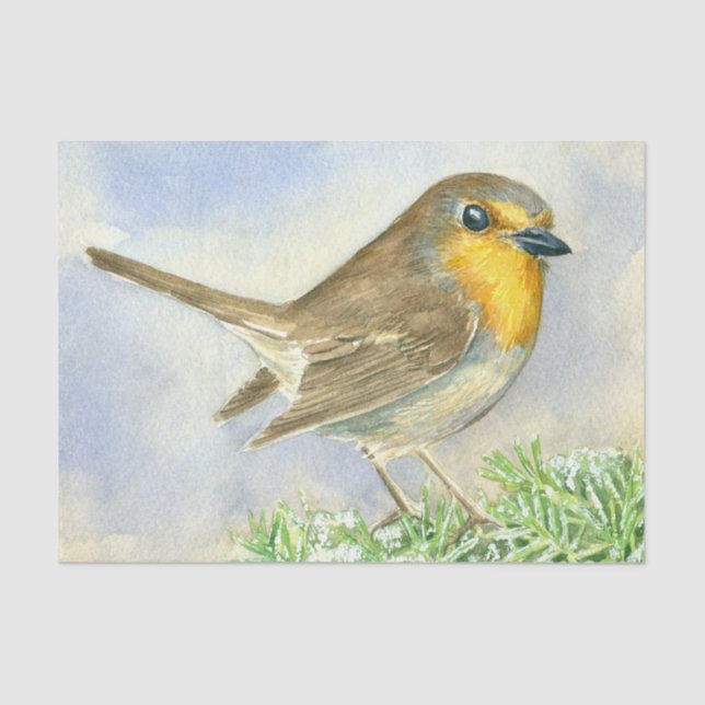 Robin bird on a frosted juniper branch tissue paper (Front)