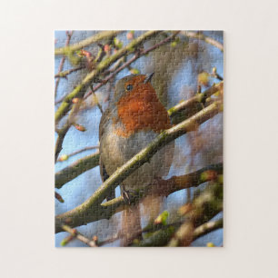 Robin Bird Puzzle