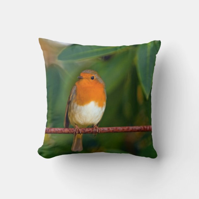 Robin bird throw pillow (Front)
