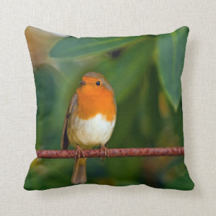 Robin bird throw pillow