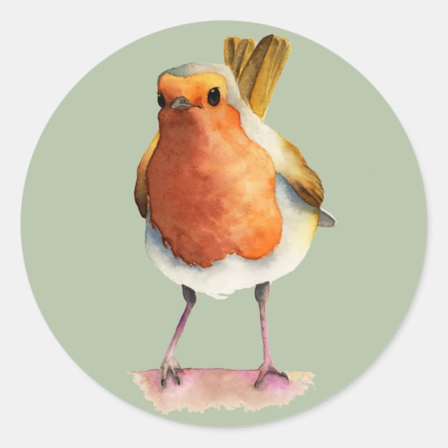 Robin Bird Watercolor Painting Classic Round Sticker (Front)