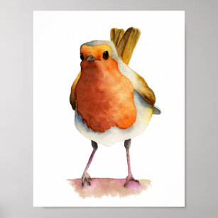 Robin Bird Watercolor Painting Poster