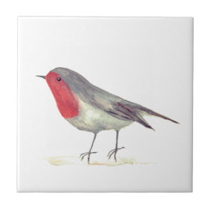 Robin Bird Wildlife Watercolor Vintage Colourful  Tile