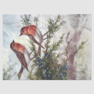 Robin Birds Artistic Decoupage Tissue Paper