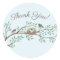 Robin Birds Nest Eggs Spring Baby Shower