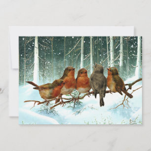 Robin Birds on Branch Snow Forest Winter Christmas Holiday Card