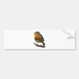 Robin Bumper Sticker