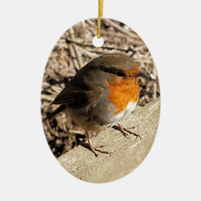 ROBIN CERAMIC ORNAMENT (Front)