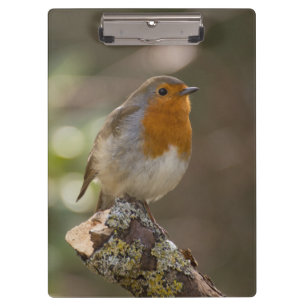 Robin Clipboard